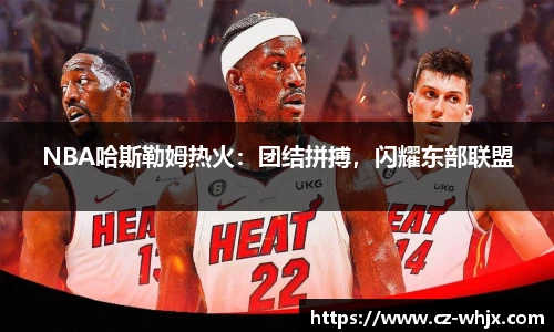 NBA哈斯勒姆热火：团结拼搏，闪耀东部联盟